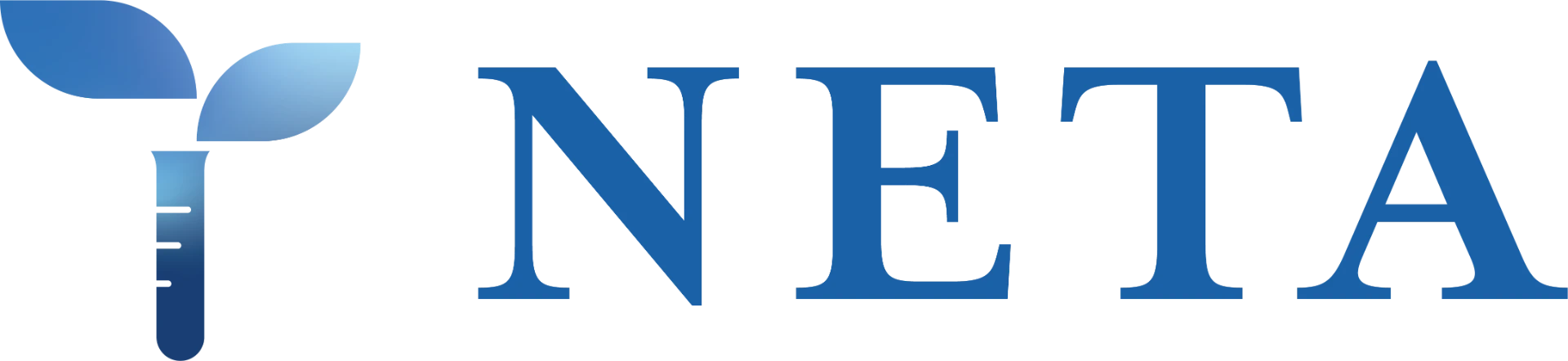 Neta Foundation